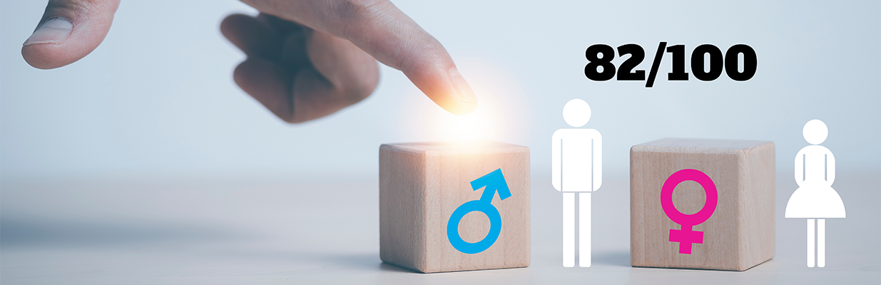 Gender Equality Index